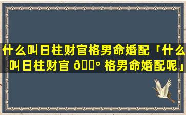什么叫日柱财官格男命婚配「什么叫日柱财官 🐺 格男命婚配呢」